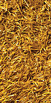 Yellow Yellow