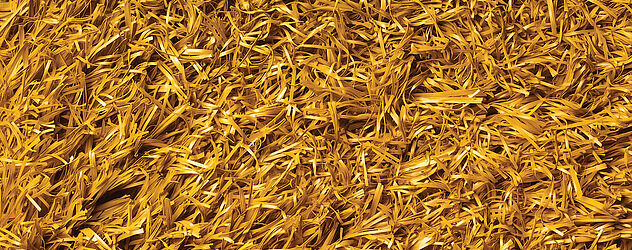 Yellow Yellow