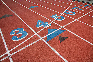 The texture of the Franklin and Marshall REGUPOL champion AG featuring the school's color unique colors.