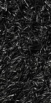 Black Black