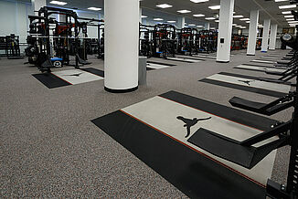 University of Texas at Austin Weight Training - Weight Room View of the lifting platforms and equipment offered at the University of Texas at Austin facility for athletes. REGUPOL aktivpro roll and crash flooring is found beneath the equipment, providing seamless flooring.