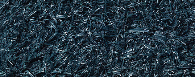 Navy Navy