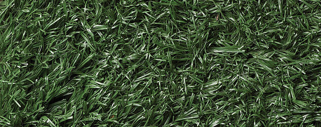 Green Green