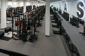 University of Texas at Austin Weight Training - Expanded View Expansive view of the University of Texas at Austin weight training facility. The facility offers a number of weight racks and platofrms, as well as free weights. REGUPOL aktipro roll flooring is used throughout the facility.