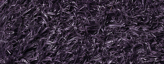 Purple Purple