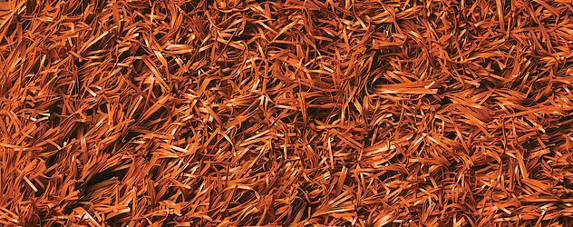Orange Orange