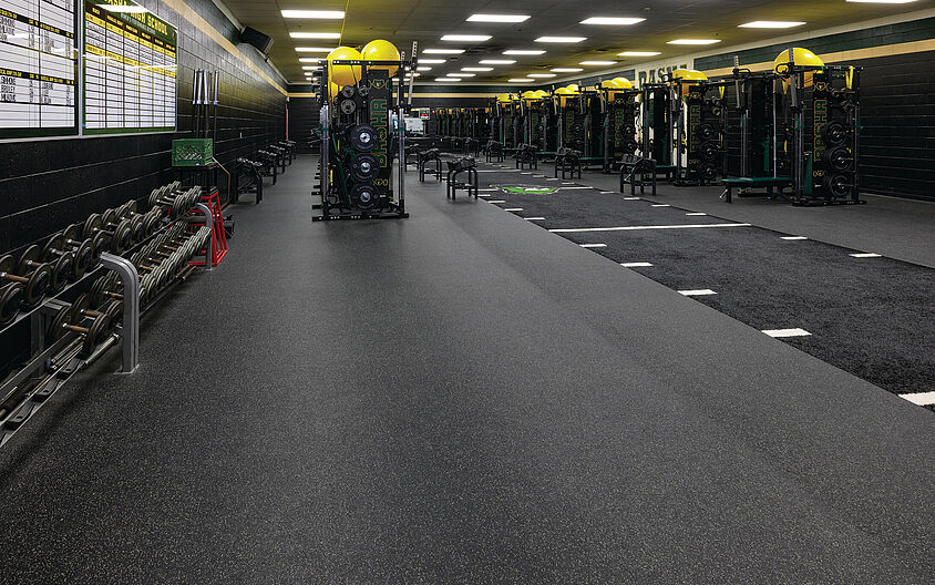 Basha High School