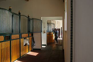 Stable aisle with elasticated rubber floor in red
