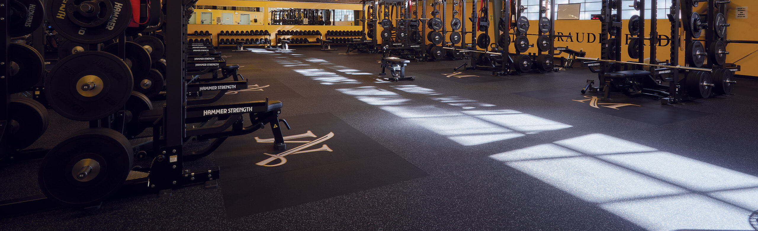 REGUPOL athletic floors offer stable footing for baseball athletes as they exercise within performance enhancement centers.