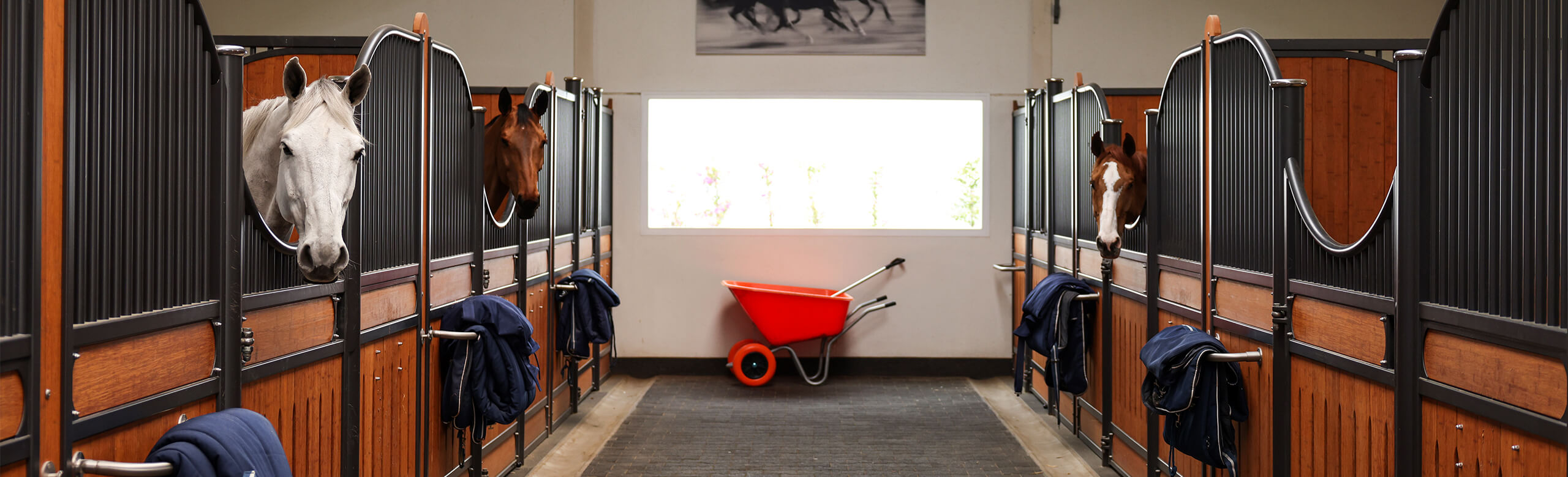 REGUPOL Equestrian flooring – Stable Boxes Aisle of a horse barn with stalls on each side and REGUPOL rubber flooring in the aisle.