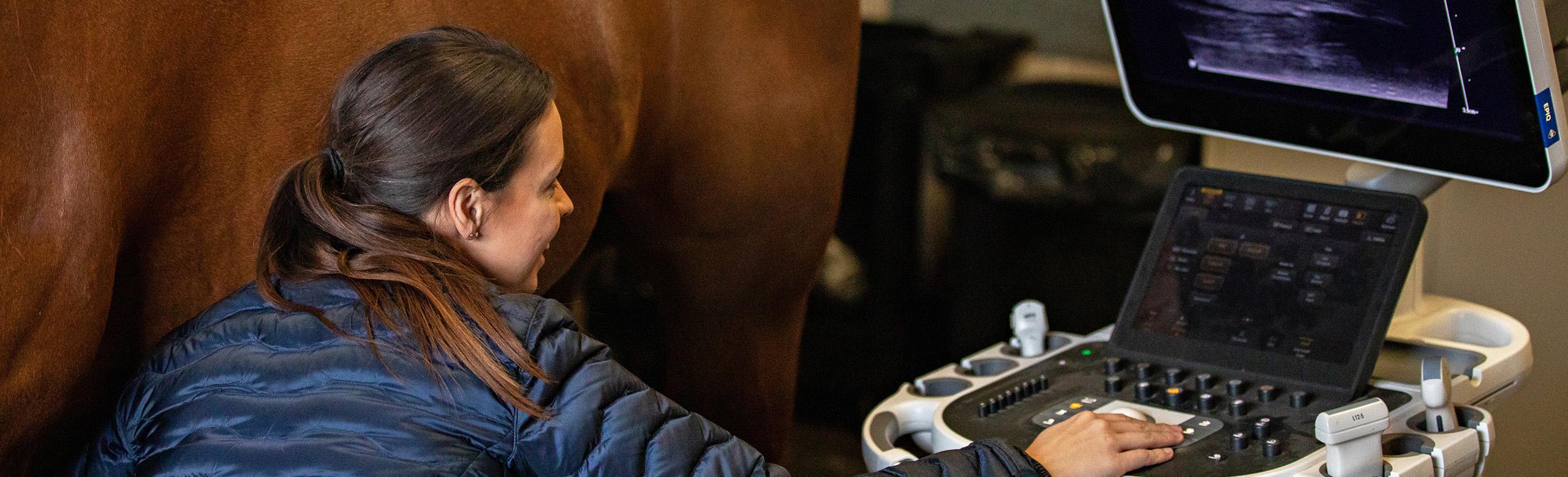 Installing REGUPOL equestrian flooring in equine clinics can help create a healing environment for the animals.