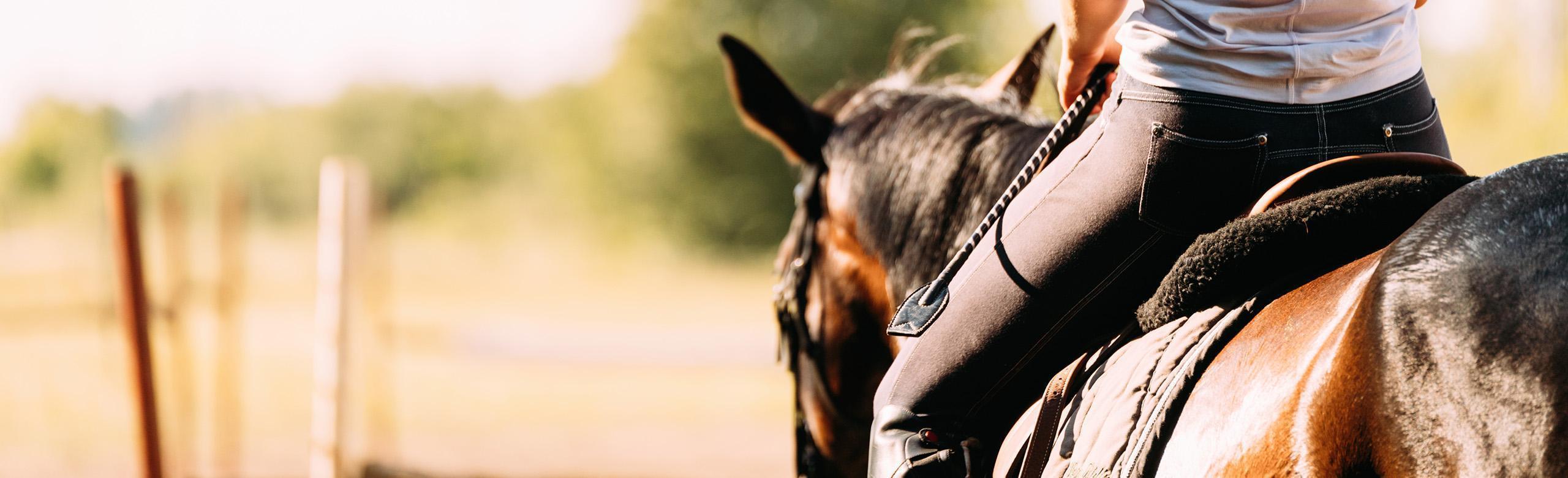 A horse and rider are depicted in the picture. They are riding atop REGUPOL equestrian pavers. 