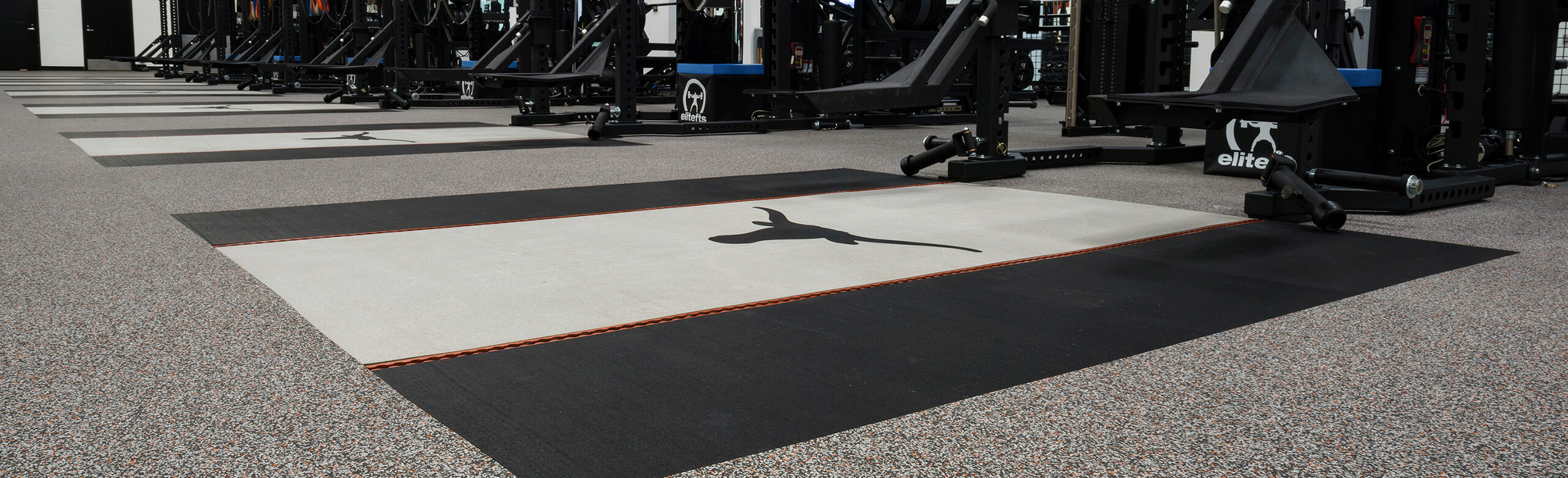 University of Texas at Austin Weight Training - Platform University of Texas at Austin offers REGUPOL crash within their inlaid platforms of their weight training facility. Each individual platform features the Texas Longhorn logo.